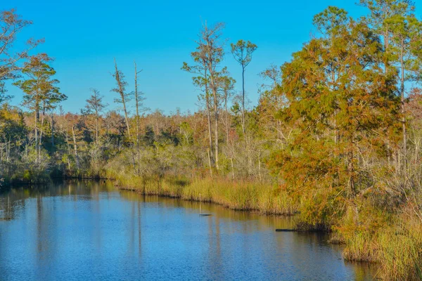 Alaqua Bayou Świetnie Nadaje Się Rekreacji Destin Walton County Floryda — Zdjęcie stockowe