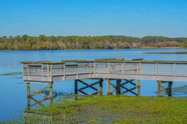 Gyönyörű Kilátás Nyílik Reed Bingham Állami Park Halászati Mólón Adel — Stock Fotó