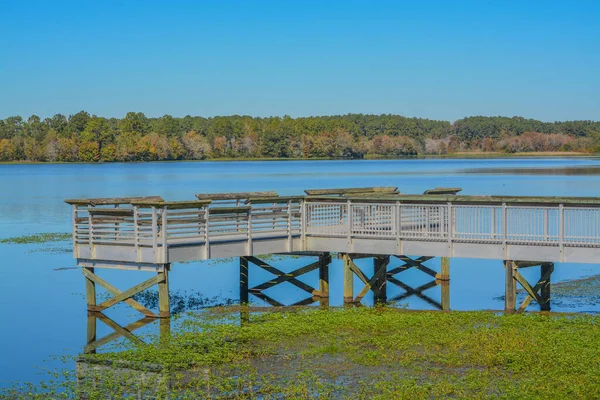 Molo Rybackie Nad Jeziorem Reed Bingham Parku Stanowym Reed Bingham — Zdjęcie stockowe
