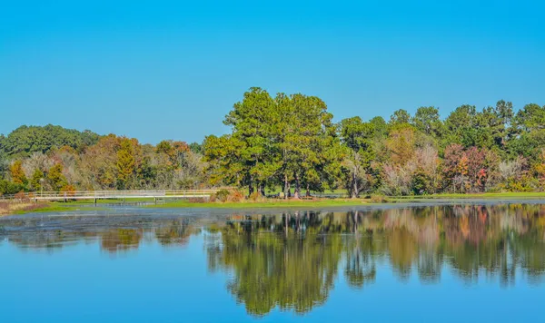 Krásný Zrcadlový Obraz Pobřeží Reed Bingham Lake Adel Colquitt County — Stock fotografie