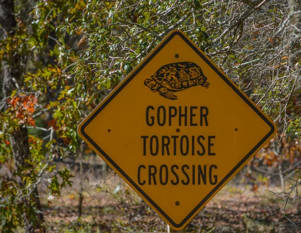 Знак Гофер Черепаха Заповеднике Джорджии — стоковое фото