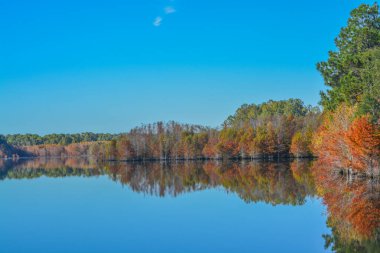 Ağaçlardaki güzel renkli yaprakların yansıması. Küçük Ocmulgee Nehri boyunca, McRae, Georgia.
