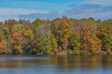 Mitchell, Washington County, Georgia 'daki Hamburg Gölü' nde güzel yaprak renkleri yansıyor.