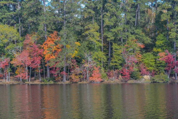 Belles Couleurs Feuilles Réfléchissant Sur Lac Hambourg Mitchell Washington Comté — Photo