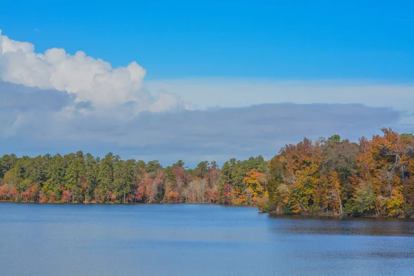 Gyönyörű Levelek Színei Tükröződnek Hamburg Lake Mitchell Washington County Georgia — Stock Fotó