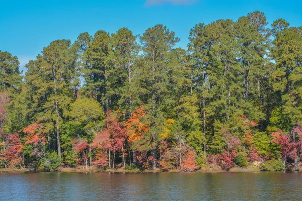 Vackra Löv Färger Reflekterar Hamburg Lake Mitchell Washington County Georgien — Stockfoto