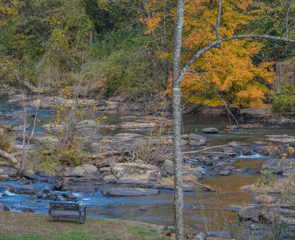 Ławka Obok Rzeki Ogeechee Przepływająca Przez Skałę Rzeki Lesie Gruzji — Zdjęcie stockowe