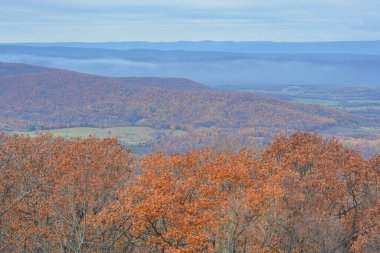 Virginia 'nın Blue Ridge Dağları' ndaki Shenandoah Milli Parkı 'ndaki Skyline Drive' dan güzel manzara.