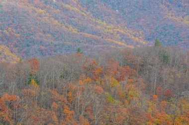 Virginia 'nın Blue Ridge Dağları' ndaki Shenandoah Milli Parkı 'ndaki Skyline Drive' dan güzel manzara.