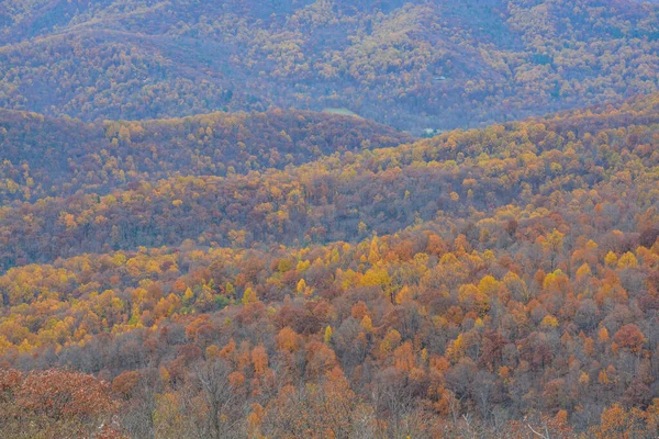 Gyönyörű Kilátás Skyline Drive Shenandoah Nemzeti Park Blue Ridge Hegység — Stock Fotó
