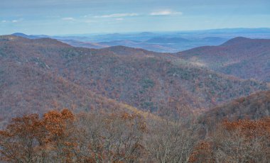 Virginia 'nın Blue Ridge Dağları' nda Skyline 'daki dağın tepelerinin güzel manzarası.