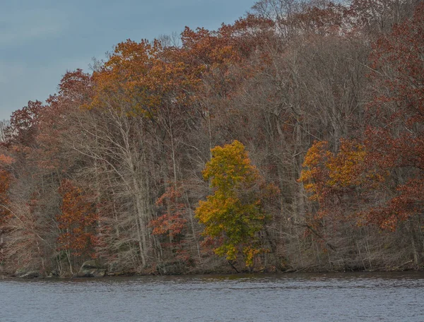 Lesní Pohled Pinchot Lake Giffordu Pinchot State Park Lewisberry York — Stock fotografie