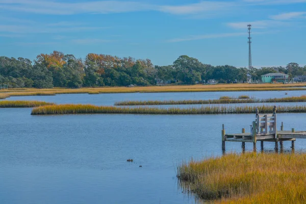 Freshwater Wetlands White Oak River Atlantic Coastal Plain Onslow County — Stock Photo, Image