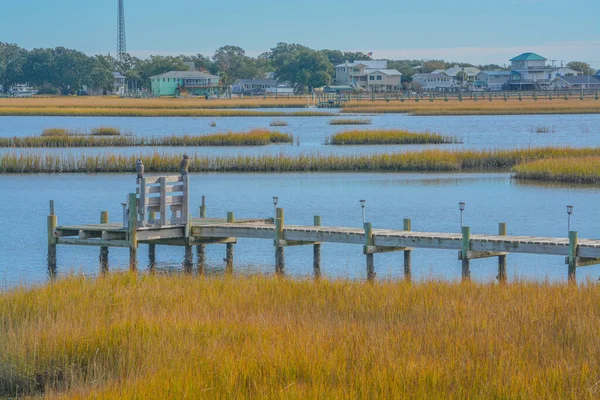 Freshwater Wetlands White Oak River Atlantic Coastal Plain Onslow County — Stock Photo, Image