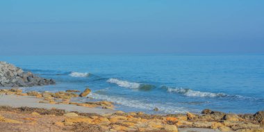 Marineland, Flagler County, Florida 'daki Marineland Sahili' nde.