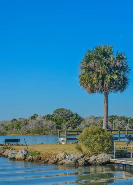 Flagler County Florida Daki Palm Coast Kıyı Içi Yoluna Bings — Stok fotoğraf