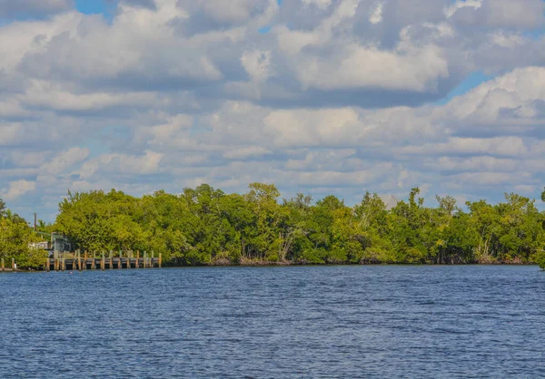 Barron River Mangroves Everglades City Collier County Florida — Stock Photo, Image