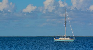 Florida Keys 'de, Key Largo, Monroe County, Florida' da Black Water Sound 'da bir yelkenli.