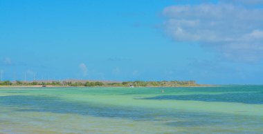 Florida Keys 'in güzel sulu renkleri. Bu tropik ada Bahia Honda Key, Monroe County, Florida