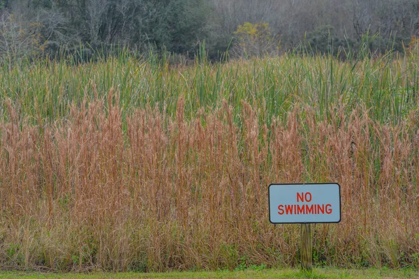 Swimming Sign Mac Lake Colt Creek State Park Lakeland Polk — Fotografia de Stock