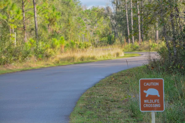 Óvatosság Wildlife Crossing Sign Colt Creek State Park Lakeland Polk — Stock Fotó