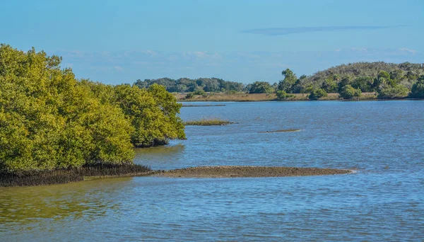 Cedar Key Ulusal Vahşi Yaşam Sığınağı Ndaki Mangrovlar Cedar Key — Stok fotoğraf