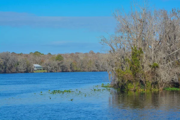 Manatee Springs ve Suwannee Nehri manzarası. Manatee Springs Eyalet Parkı Chiefland, Florida 'da.