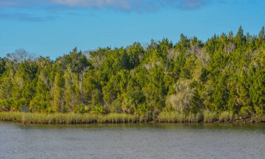 Crystal River 'da onu besleyen doğal kaynaklar var. Crystal River Preserve State Park Citrus County, Florida 'da.