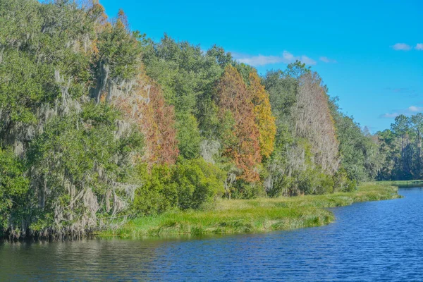 Beautiful Tree Lined Hurrah Lake Alafia River State Park Lithia Obraz Stockowy