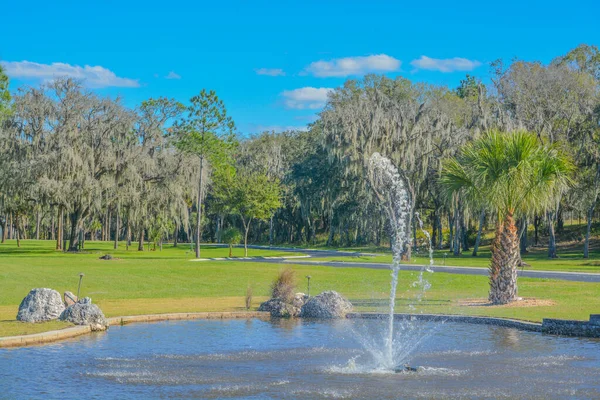 Water Fountain Countryside Lithia Hillsborough County Florida — 图库照片