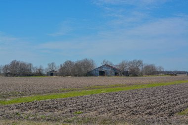 Aşırı büyümüş çalıları ve ağaçları olan eski bir ahır. Teksas 'ın kırsalında bir çiftlik arazisinde