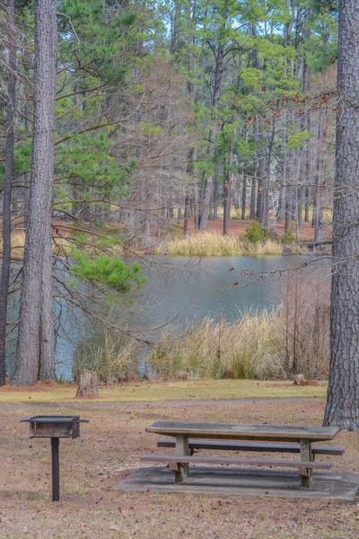 Ein Picknickplatz Freizeitgebiet Ratcliff Lake Ratcliff Lake Ratcliff Texas — Stockfoto