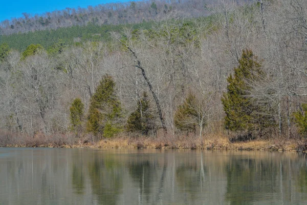 Cucumber Creek Fließt Durch Den Ouachita National Forest Broken Bow — Stockfoto