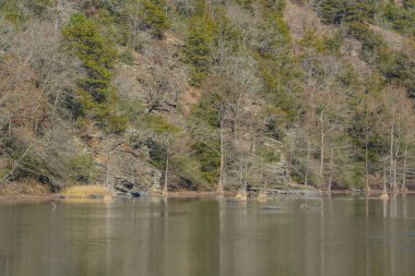 Mountain Fork Nehri Beavers 'dan geçiyor Broken Bow, Oklahoma' daki Eyalet Parkı 
