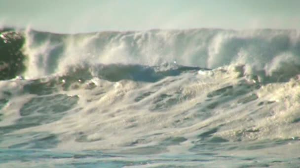Волны океана — стоковое видео