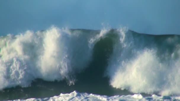 Ocean wave — Stock Video