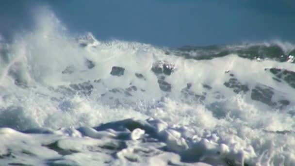 Oceánu vlnu — Stock video