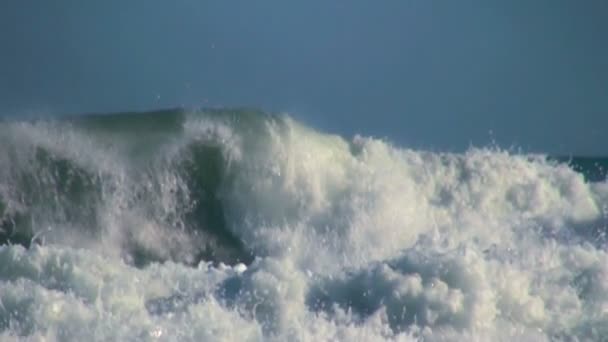 Velké vlny oceánu — Stock video