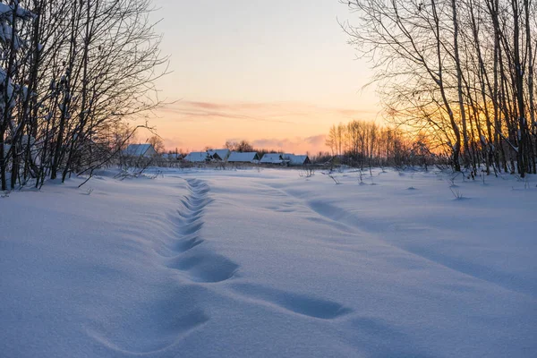 Дорога Деревню Покрытую Снегом Рассвете Лицензионные Стоковые Изображения