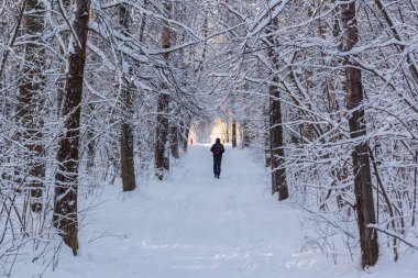 Parkta bir adamla kış sokağı ve sonunda güneş ışığı.
