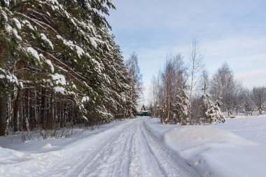 Road along the forest to the house on a winter day