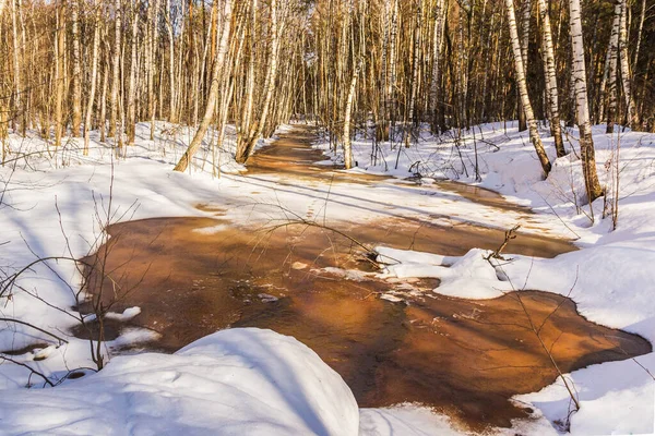 Forest River Melted Spring — Stock Photo, Image