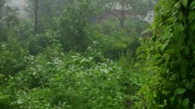 Bir adamın eli, bir tayfunla bahçeye bakan bir pencereyi kapatır..