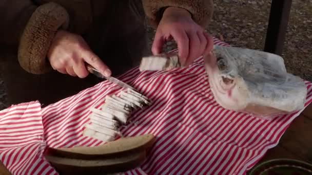Piknikte peçeteye domuz pastırması ve ekmek kesmek.. — Stok video