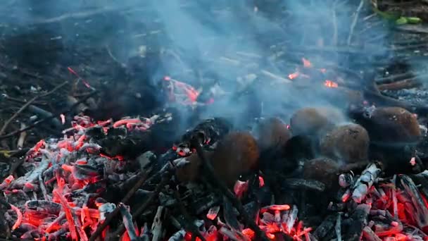 Batatas são assadas nas brasas de um fogo moribundo. — Vídeo de Stock