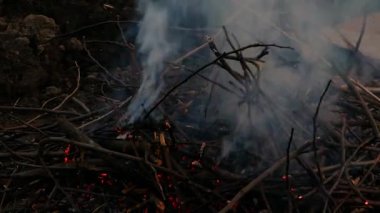 El dalları bir sopayla ayırır..