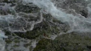 Bir deniz dalgası kıyıdaki bir kayaya çarpıyor..