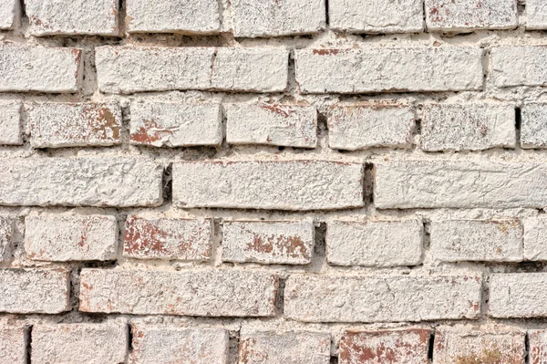 Bight brick wall — Stock Photo, Image