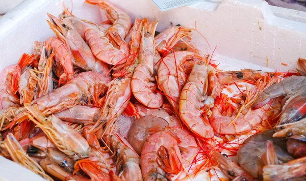 Gambas crudas —  Fotos de Stock