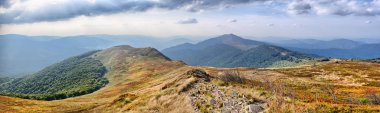 Panorama on Carpathians mountains clipart